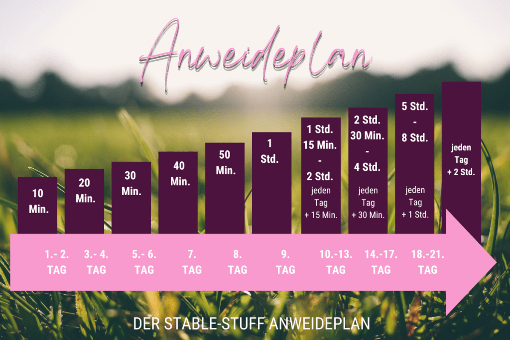 Anweideplan von Stable-Stuff, wann wie lange auf die Weide