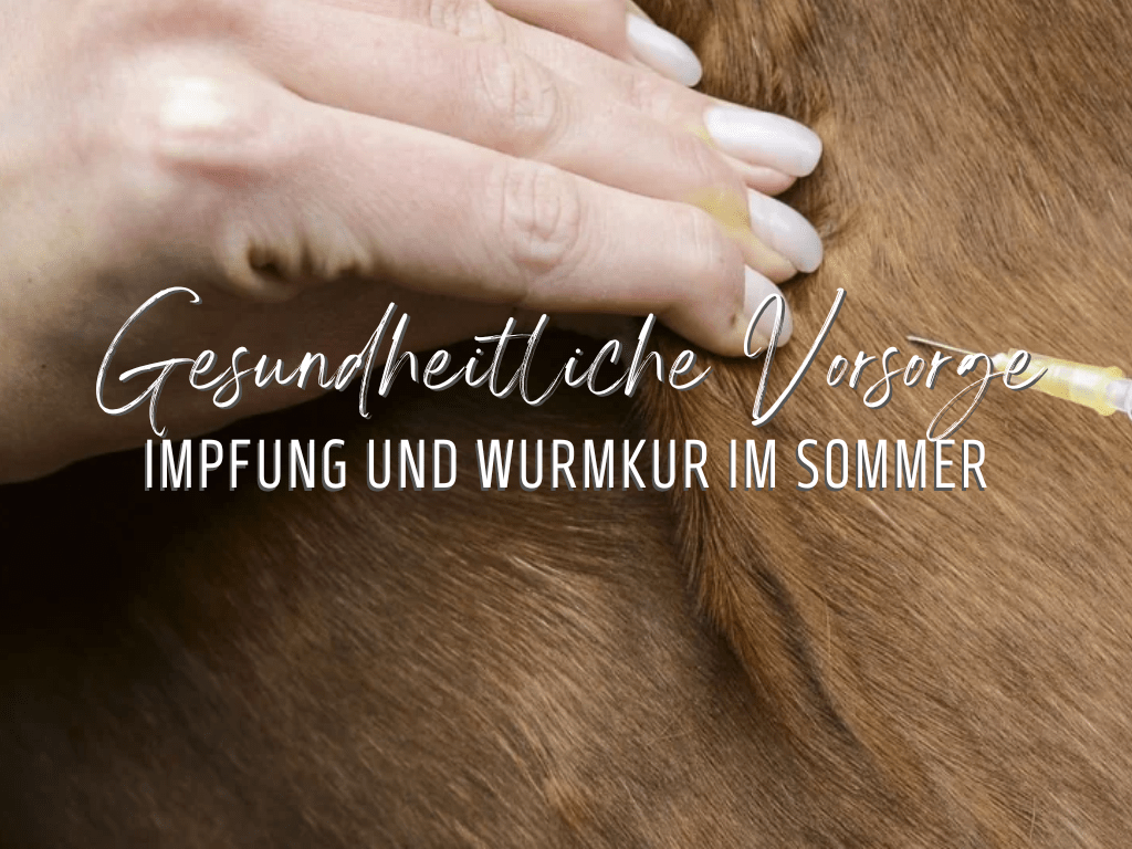 Welche Impfung und Wurmkur im Sommer?