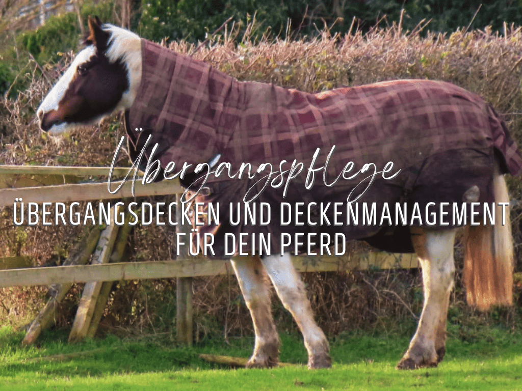 Übergangsdecken für den Herbst - Pferd mit Decke