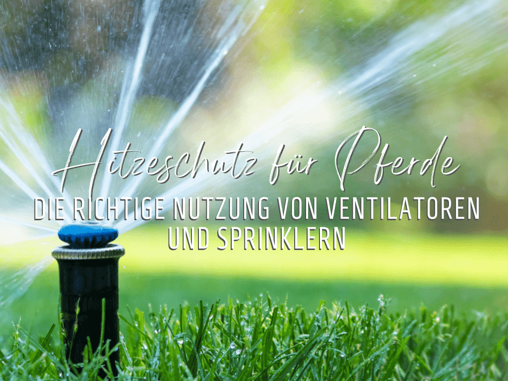 Ventilator und Sprinkler im Sommer für Pferde