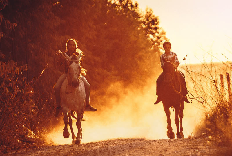 Reiten im Sommer