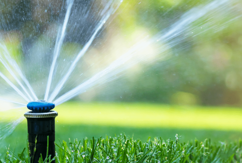 Ventilator und Sprinkler im Sommer für Pferde