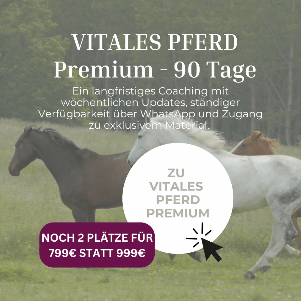 Vitales Pferd Premium