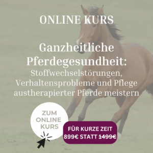 Online Kurs Ganzheitliche Pferdegesundheit