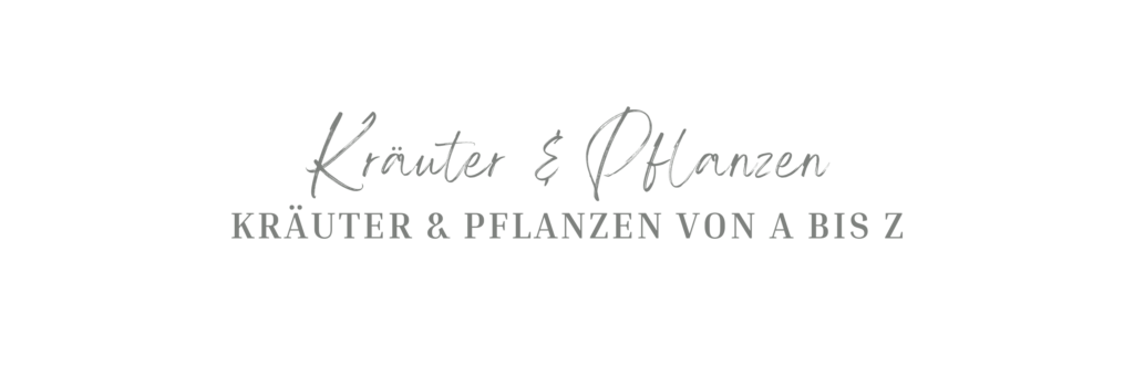 Kräuter & Pflanzen für Pferde von A bis Z