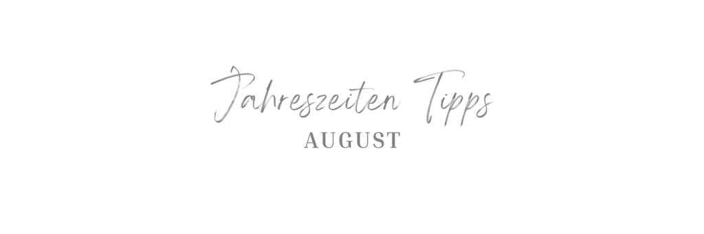 Jahreszeiten Tipps für dein Pferd - August