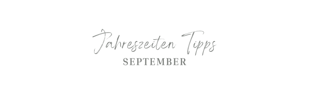 Jahreszeiten Tipps für dein Pferd - September