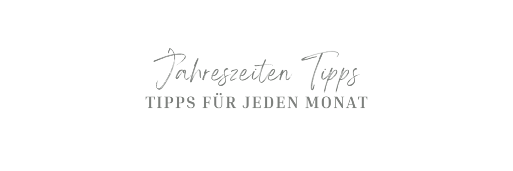 Jahreszeiten Tipps für dein Pferd